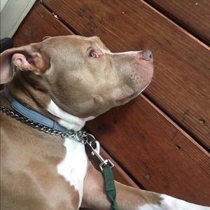 Meet your Posher, Travis